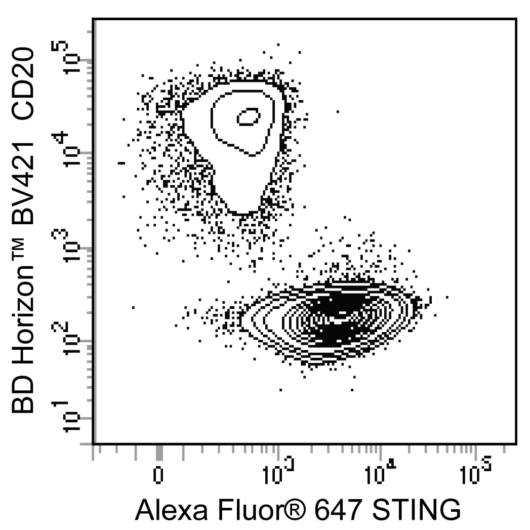 564836_STING_A647_Image_4.png